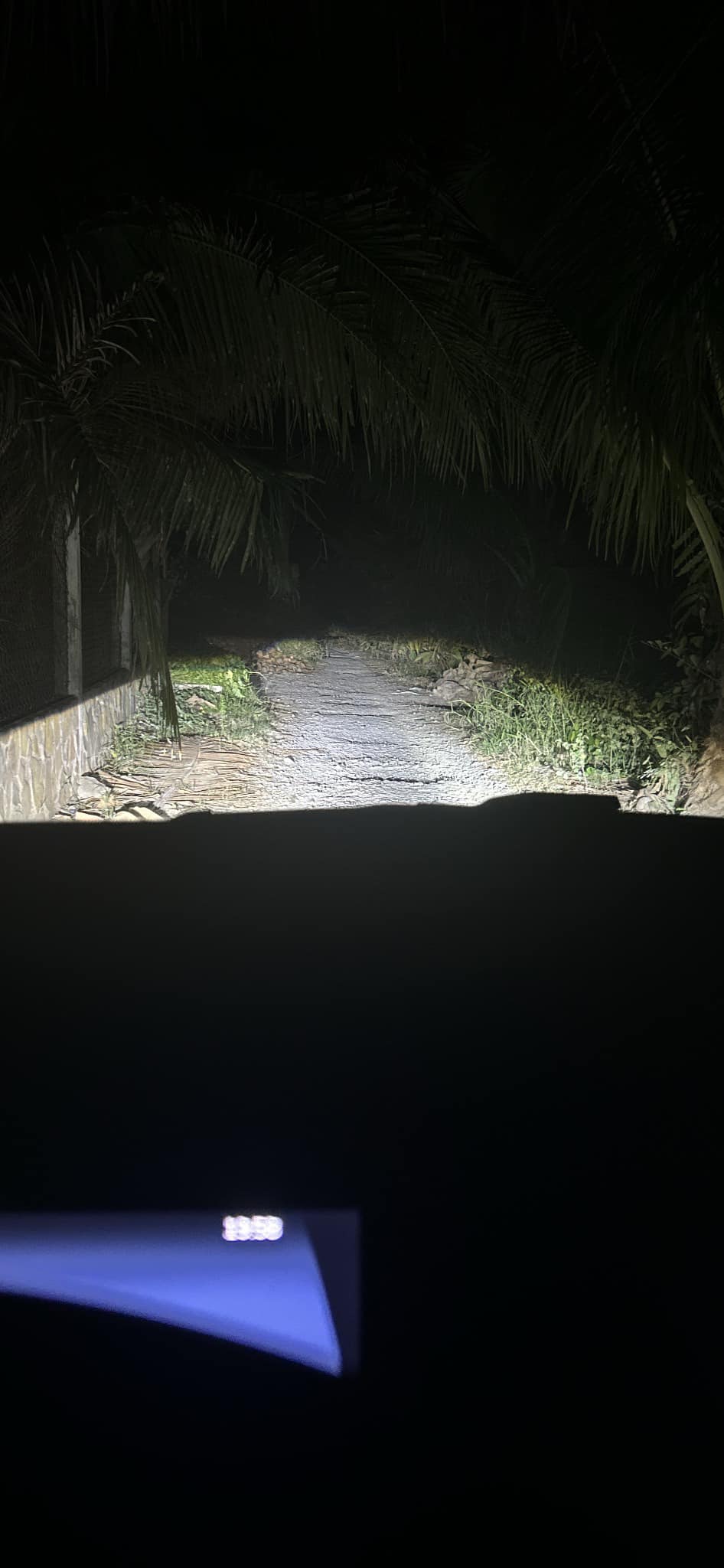 516805231_3053126434860553_7985524800465825987_n