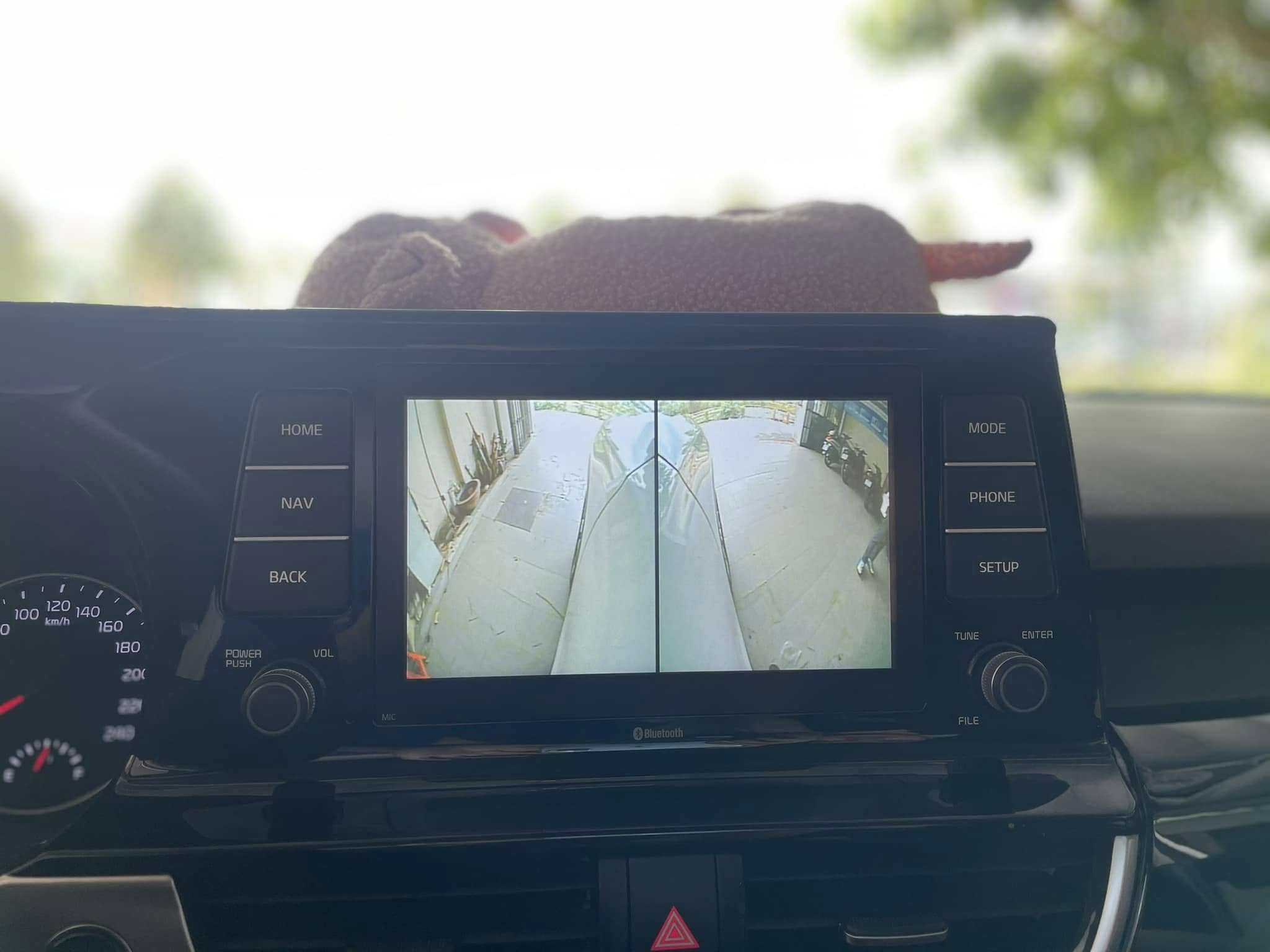 490469759_3052548271569194_9049068287261222998_n