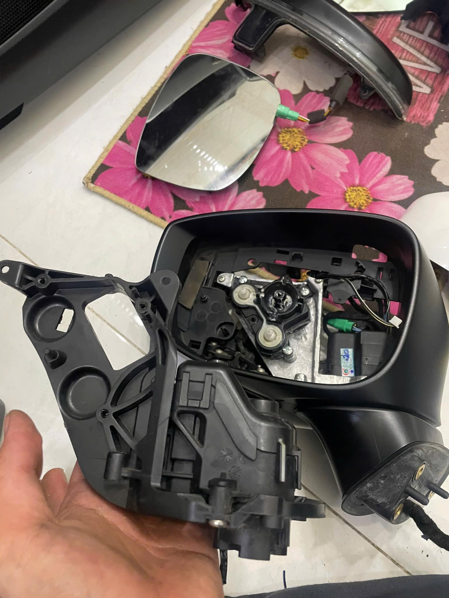 506453724_3124951894328831_1231269387016860846_n