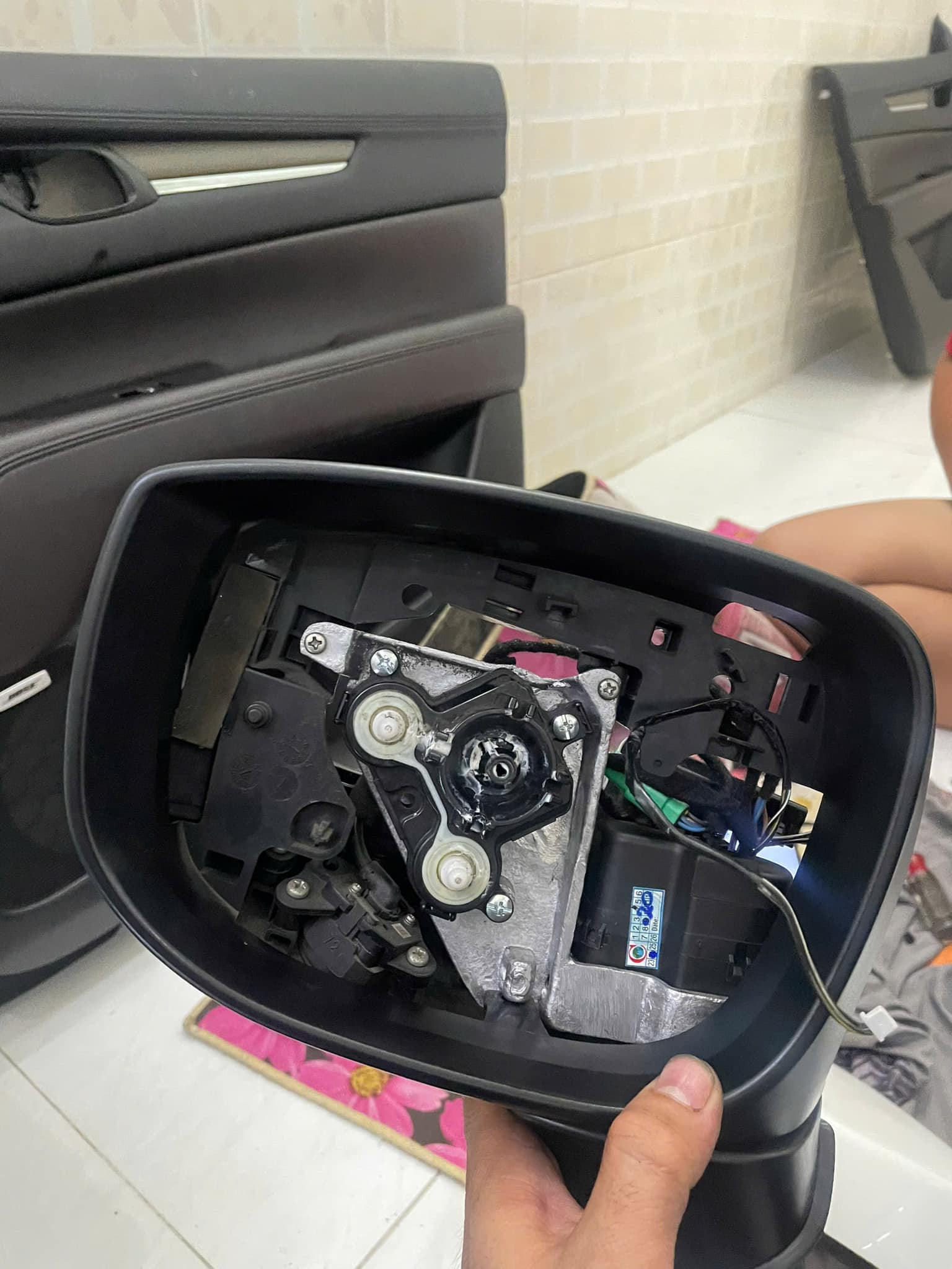 506462599_3124952004328820_3291902468567289641_n