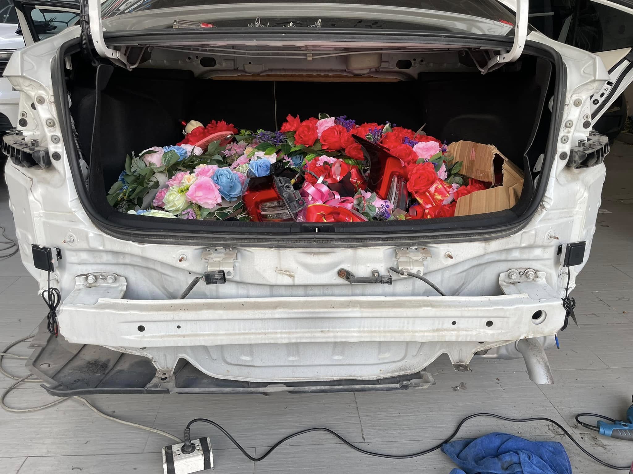 508177716_3125224880968199_6002601672511928540_n