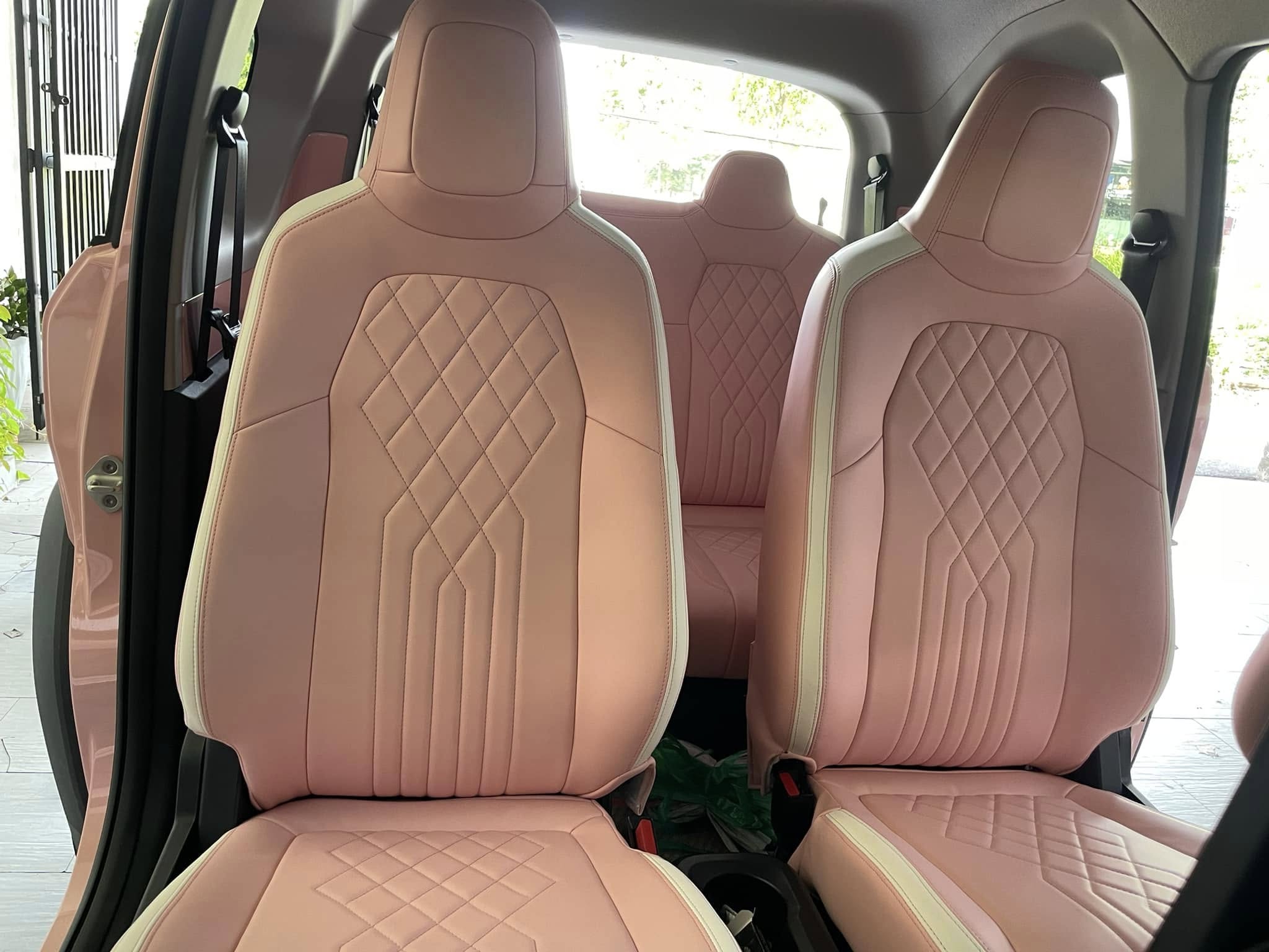 508730487_3125387887618565_4507079411953281899_n