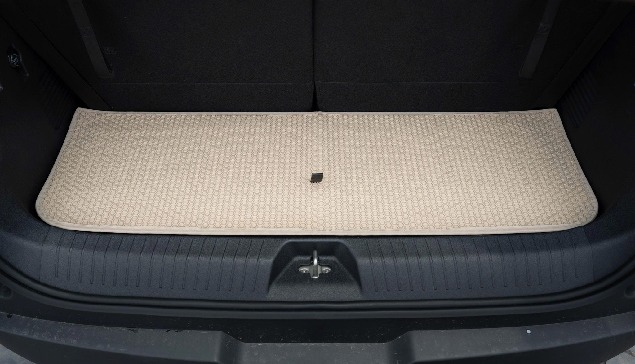 530738727_1087253733575228_6746179959551313452_n